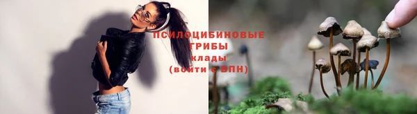 МДПВ Козельск