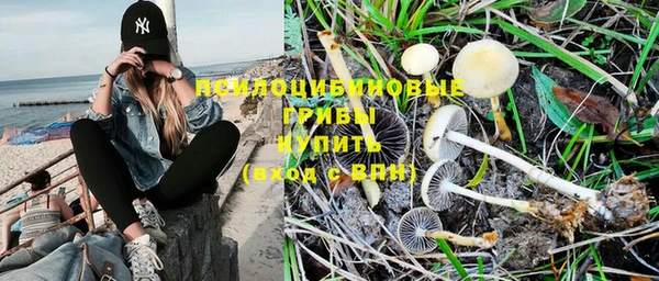 МДПВ Козельск